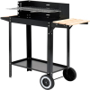 Grill-barbeque 48.5x26 cm