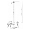 Ceiling Mount Reflecta PALLAS L, Black, 32"-55", Tilt, VESA up 400x400, max.50kg.