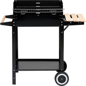 Grill-barbeque 48.5x26 cm