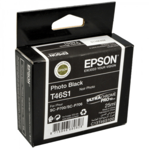 Ink Cartridge Epson T46S1 UltraChrome PRO 10 Ink, Photo Black, C13T46S100