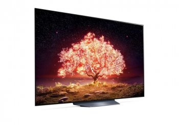 65" OLED TV LG OLED65B1RLA, Black (3840x2160 UHD, SMART TV, DVB-T2/C/S2)